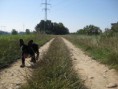 /album/fotogaleria/img-0892-2-jpg/